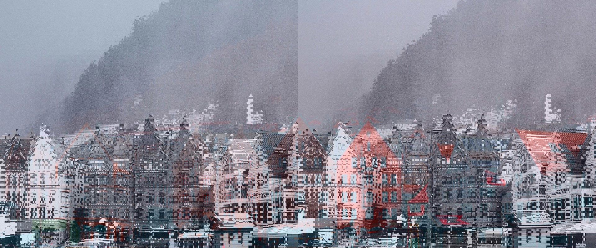 Florencia Viadana Uiqunccv5vy Unsplash