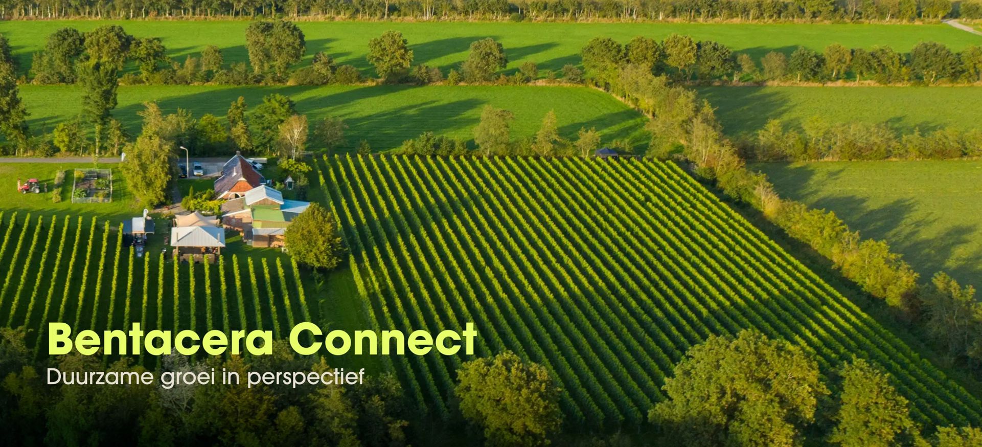 Header website - Bentacera Connect 4 september.jpg