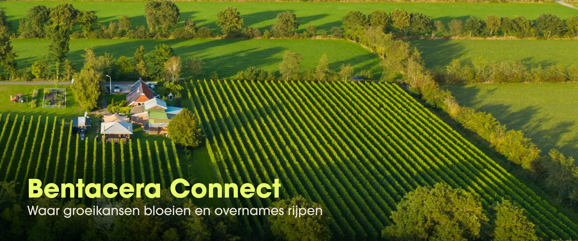 260001.031_BEN_Connect_digitale_banner_nieuw.png