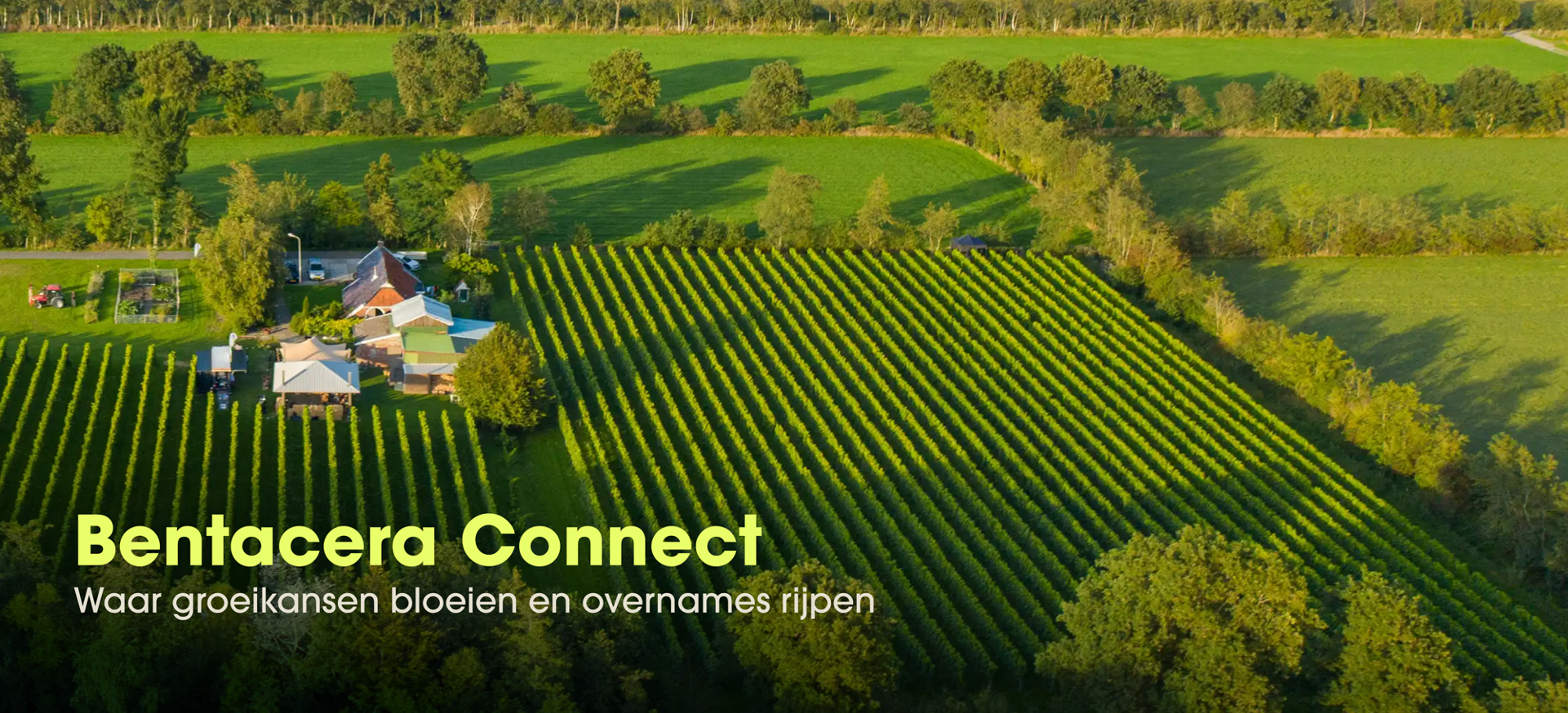 260001.031_BEN_Connect_digitale_banner_nieuw.png